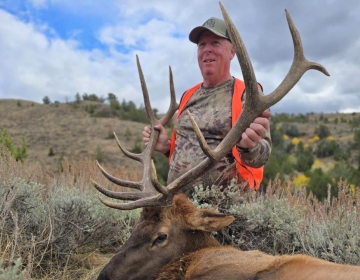 Sns Wyoming Wilderness Elk 2025 14